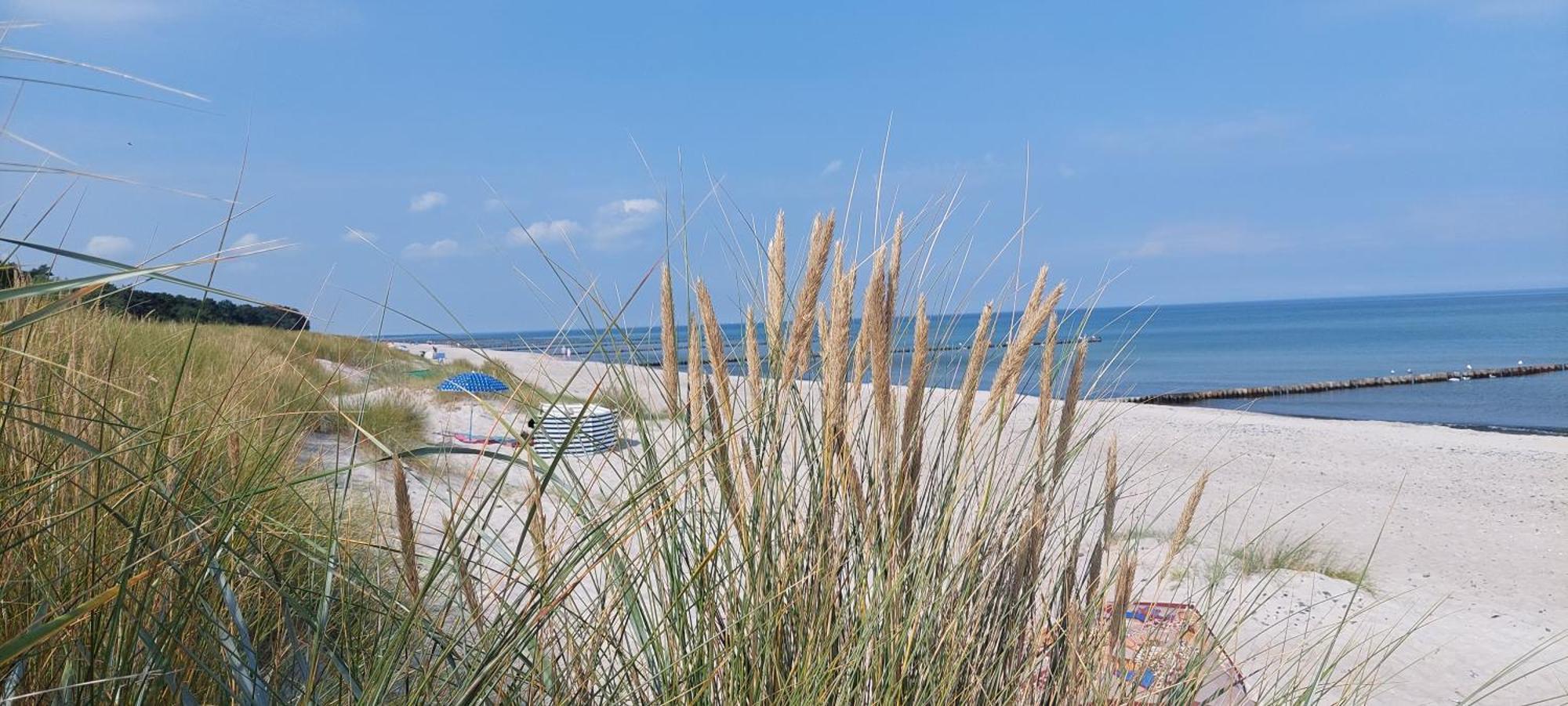 Residenz Am Strand Wohnung 1-21 Zingst Bagian luar foto